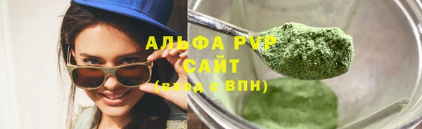 гашиш Богданович