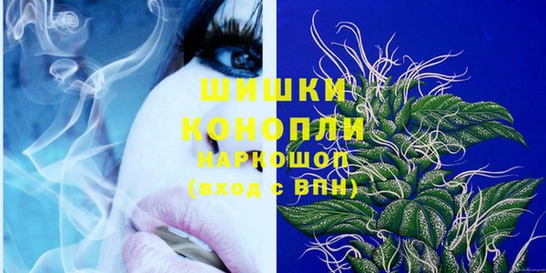 индика Верея