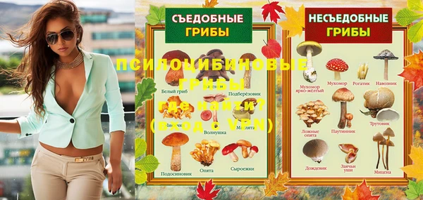 амф Бугульма