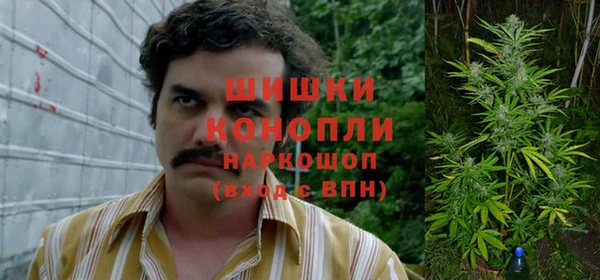 гашиш Богданович