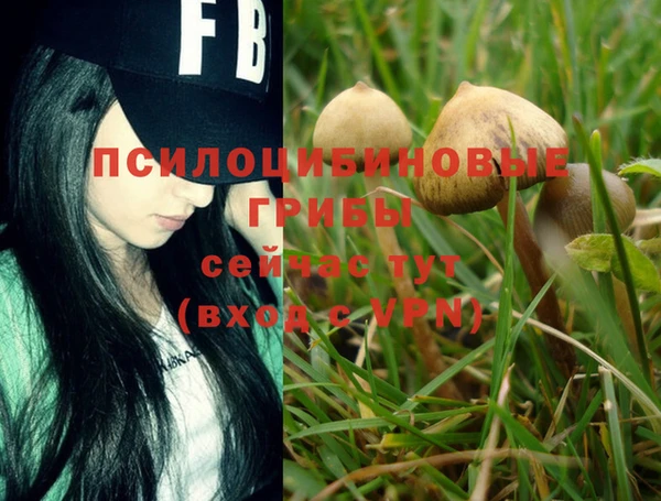 COCAINE Бронницы