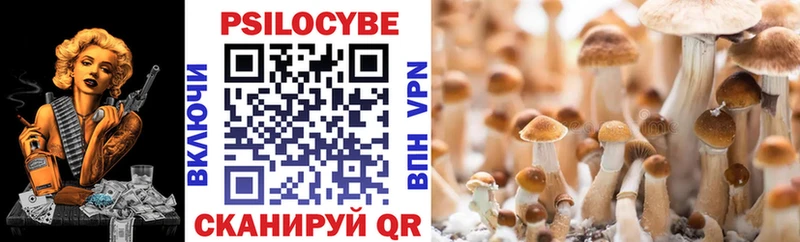 это телеграм  Балашов  Псилоцибиновые грибы GOLDEN TEACHER 